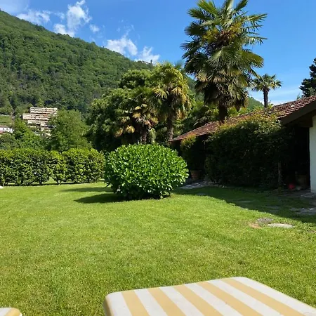 Azalea * קנוביו