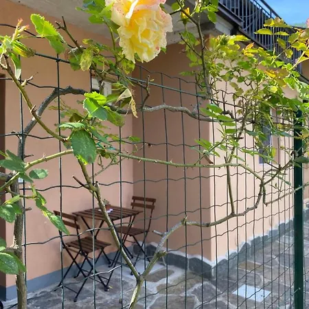 Apartment Azalea