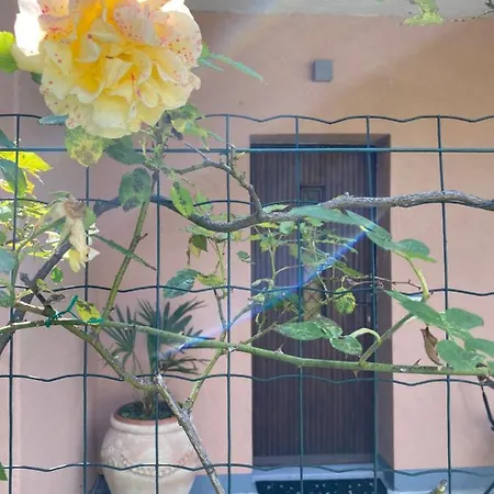Azalea Apartment