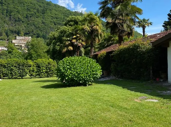 Azalea * カンノビオ