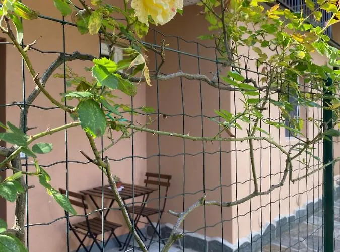 Appartement Azalea